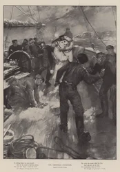 Nosso passageiro natalino